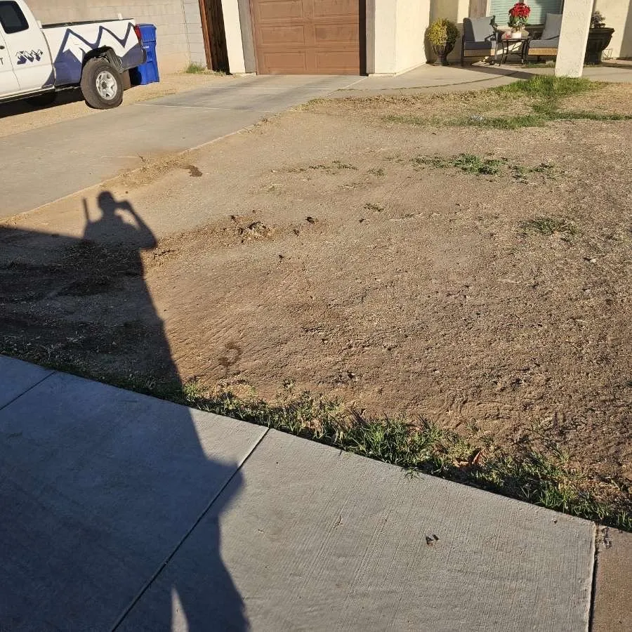 Expert garden landscaping with custom design across Surprise, AZ - Prestige Landscaping & Remodeling