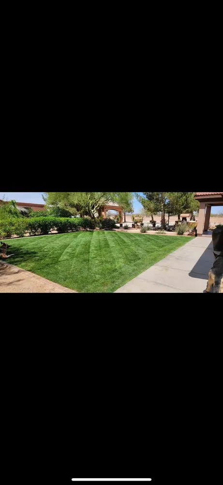Reliable landscape installation for residential properties across Surprise, AZ - Prestige Landscaping & Remodeling