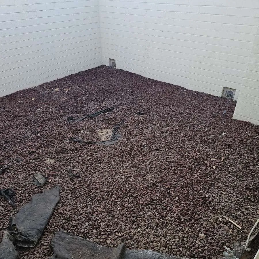 Trusted lawn care service in Surprise, AZ by Prestige Landscaping & Remodeling