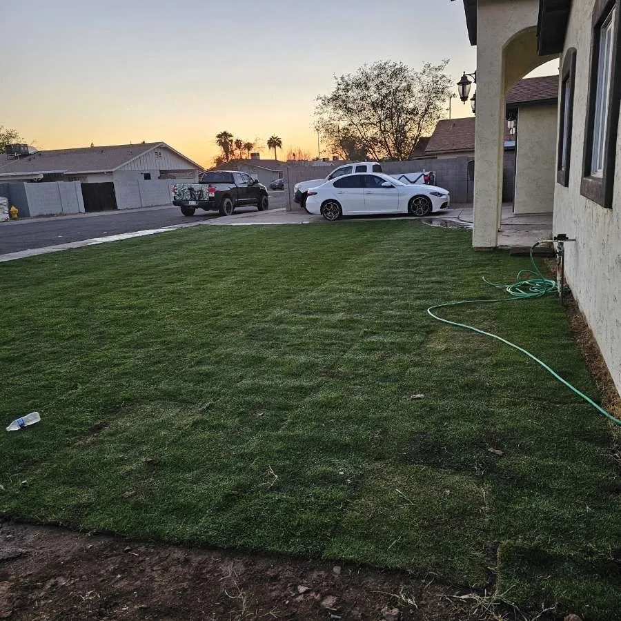 Trusted yard maintenance in Surprise, AZ - Prestige Landscaping & Remodeling