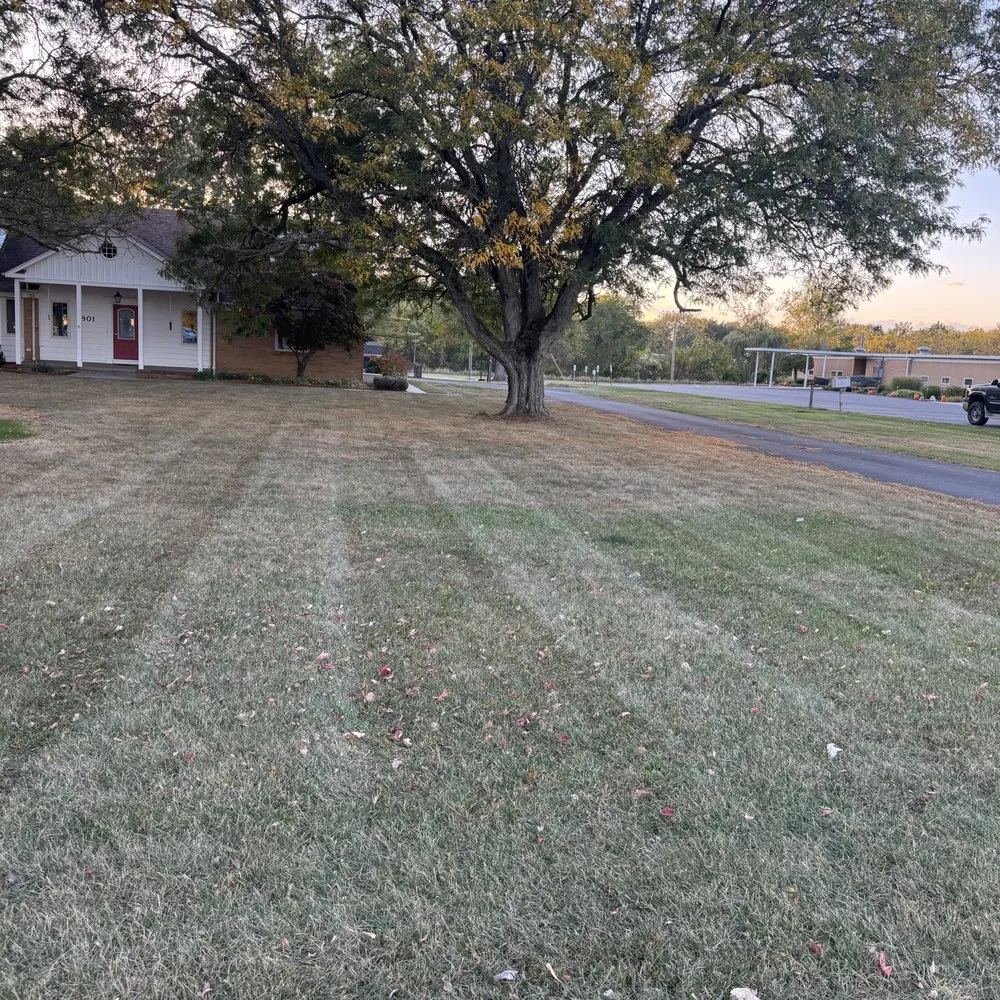 Custom yard cleanup service experts serving Wauseon, OH - Prestige Landscaping & Services