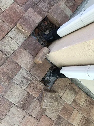 Custom lawn care service experts serving Casselberry, FL - Prestige Landscaping