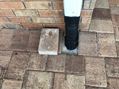 Top-rated landscape installation in Casselberry, FL - Prestige Landscaping