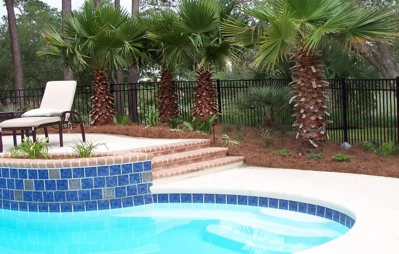 Local yard cleanup service in Goose Creek, SC - Prestige Landscaping