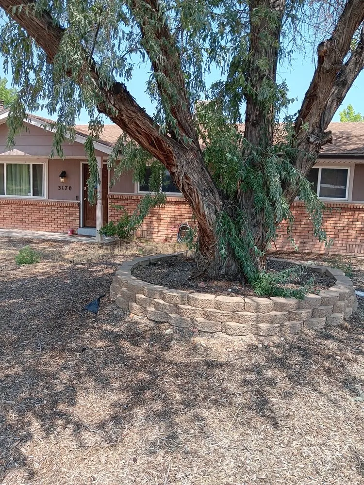 Top-rated yard cleanup service in Grand Junction, CO by Prestige Landscaping