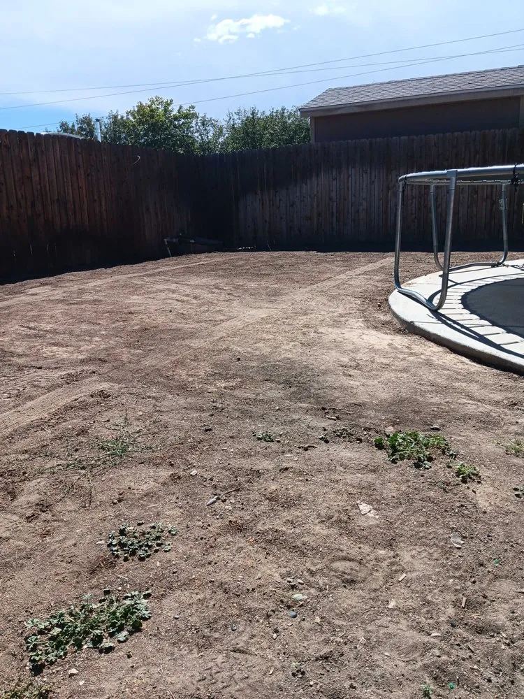 Top-rated outdoor landscaping in Grand Junction, CO by Prestige Landscaping