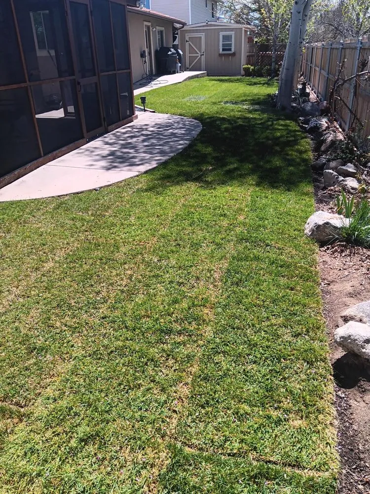 Trusted lawn care service for residential properties in Grand Junction, CO by Prestige Landscaping