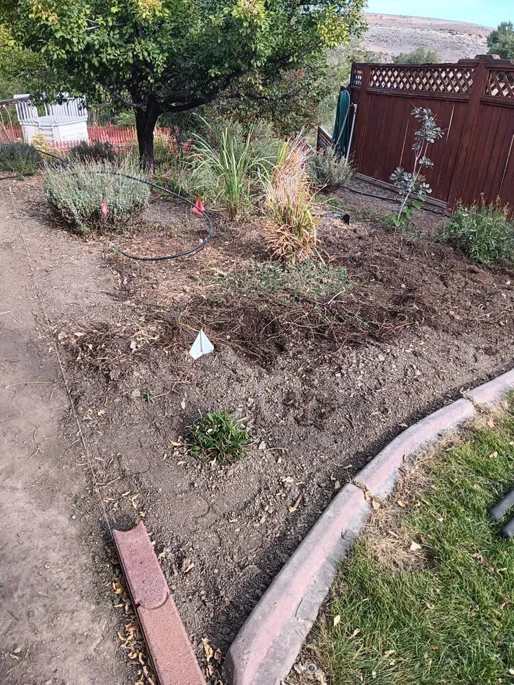 Top-rated residential landscaping experts serving Grand Junction, CO - Prestige Landscaping