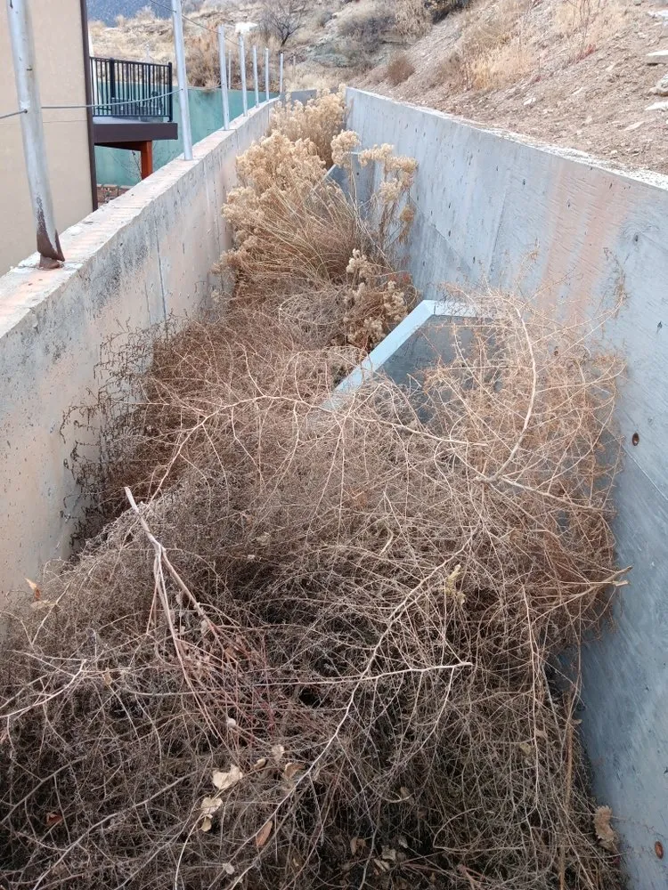 Reliable landscaping services in Grand Junction, CO - Prestige Landscaping