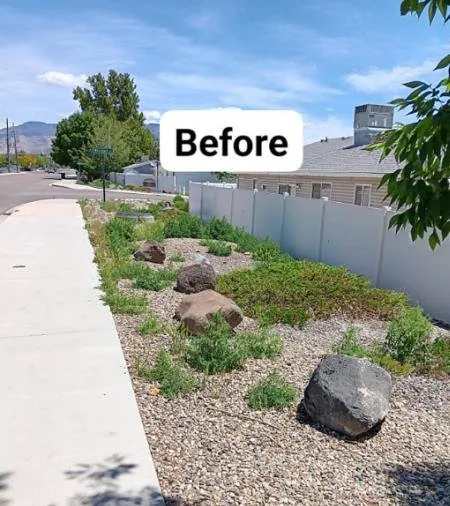 Local lawn care service for outdoor upgrades across Grand Junction, CO - Prestige Landscaping