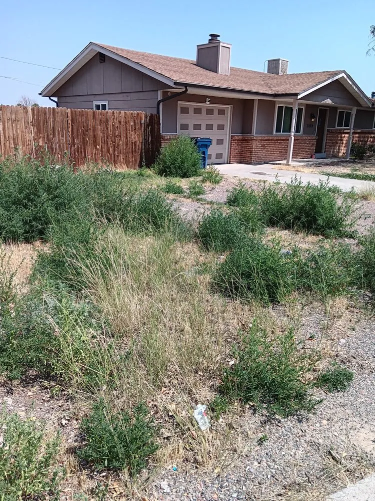 Top-rated yard cleanup service in Grand Junction, CO by Prestige Landscaping