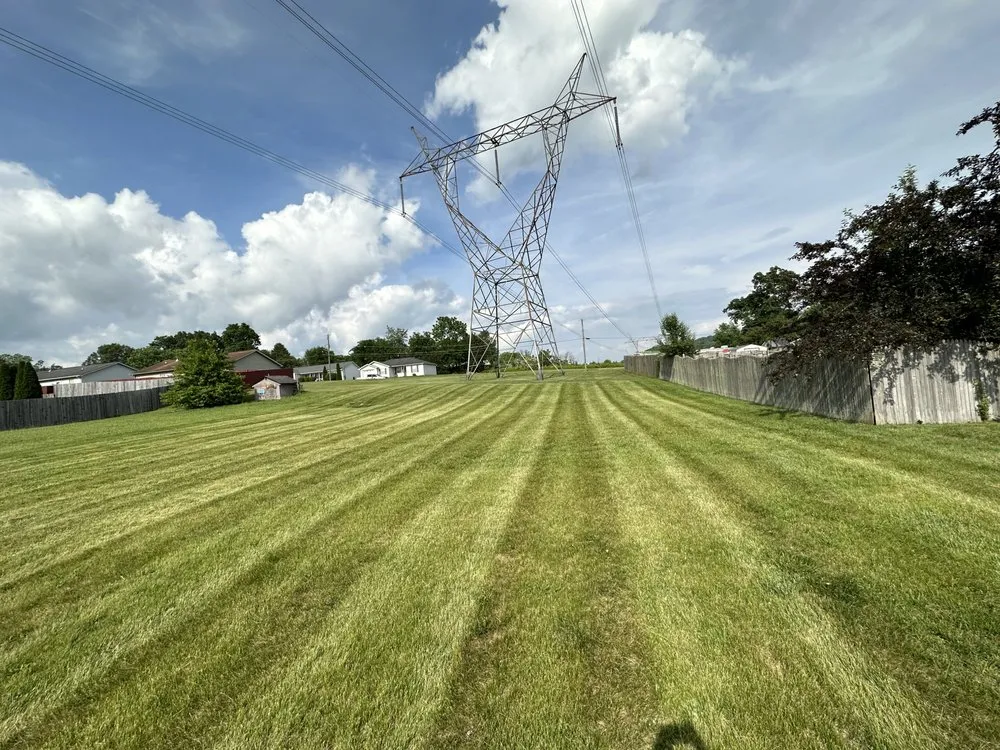 Expert landscape installation in Knoxville, TN - Prestige Landscaping