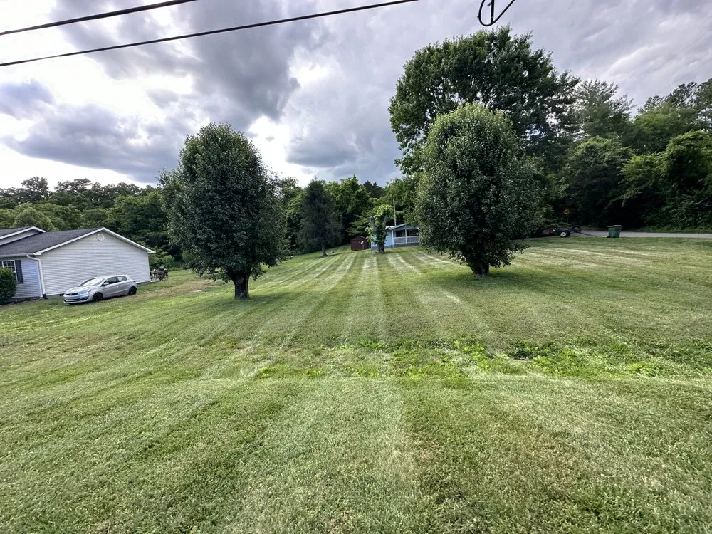 Custom yard maintenance for year-round maintenance across Knoxville, TN - Prestige Landscaping