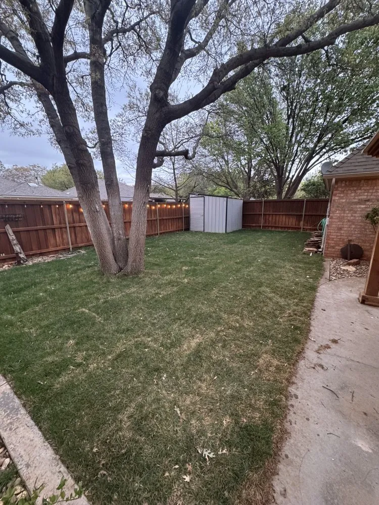 Professional yard cleanup service experts serving Lubbock, TX - Prestige Landscaping
