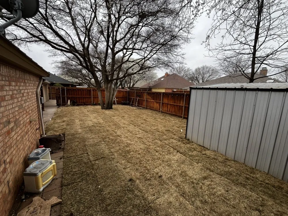 Top-rated lawn care service in Lubbock, TX - Prestige Landscaping