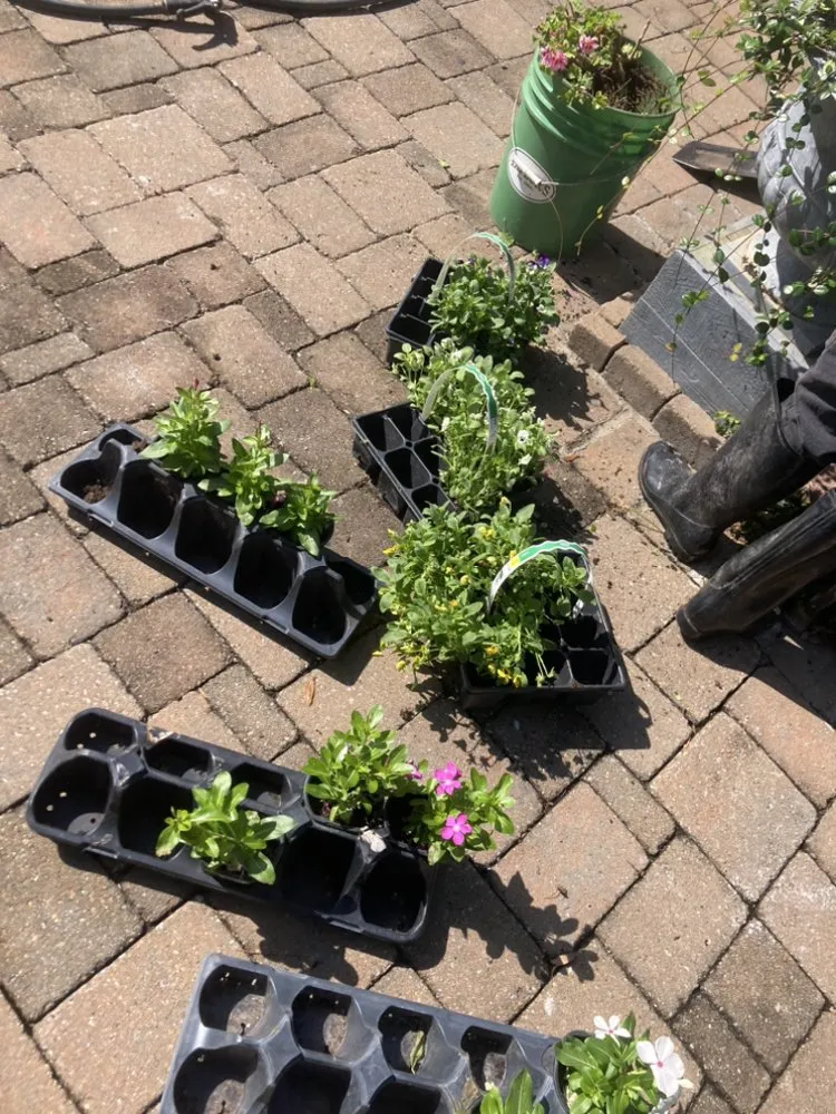 Custom lawn mowing service with custom design in Hilton Head, SC by Prestige Landscaping Maintenance