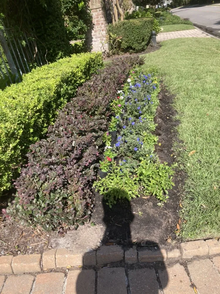 Trusted yard maintenance in Hilton Head, SC by Prestige Landscaping Maintenance