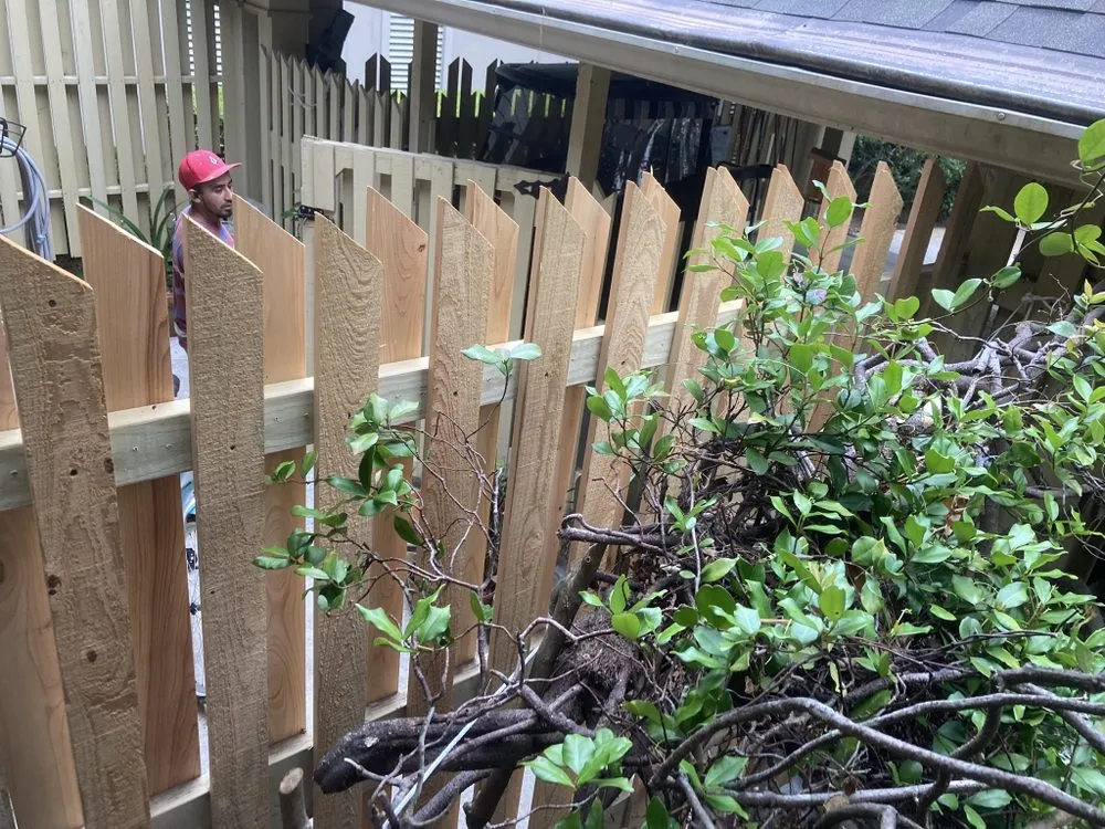 Professional yard cleanup service in Hilton Head, SC by Prestige Landscaping Maintenance