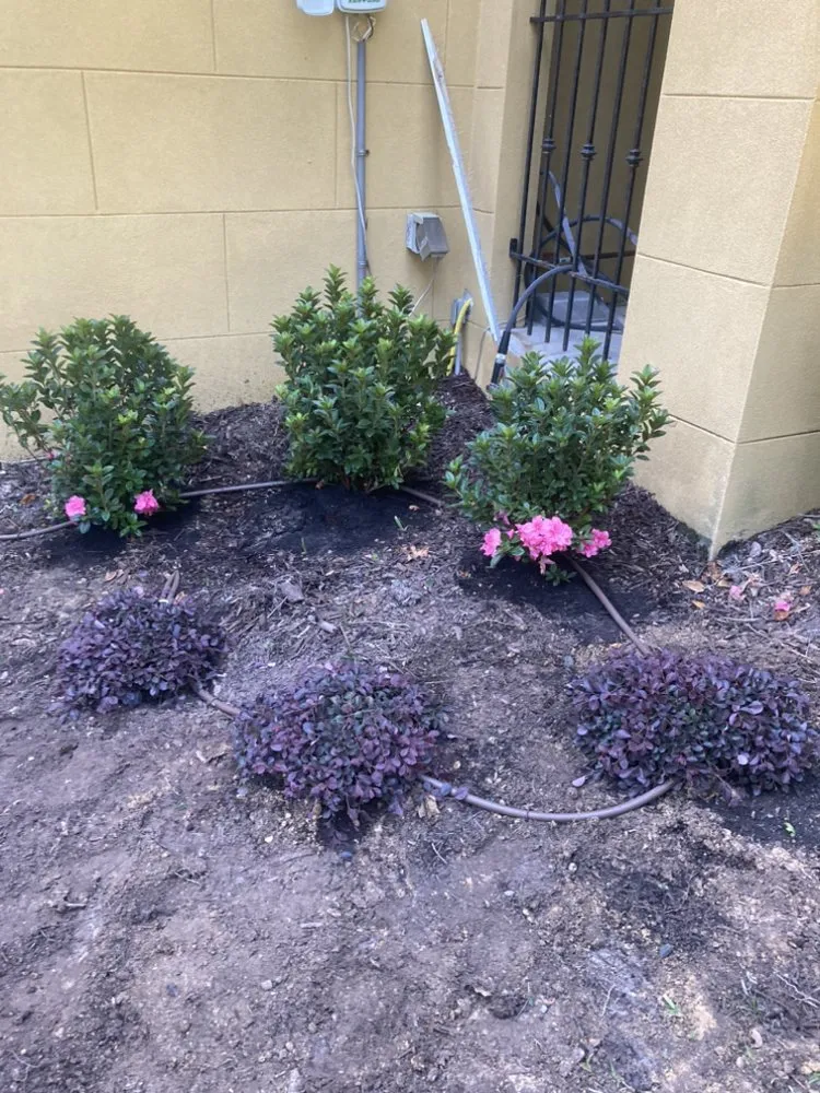 Top-rated landscape design for residential properties across Hilton Head, SC - Prestige Landscaping Maintenance