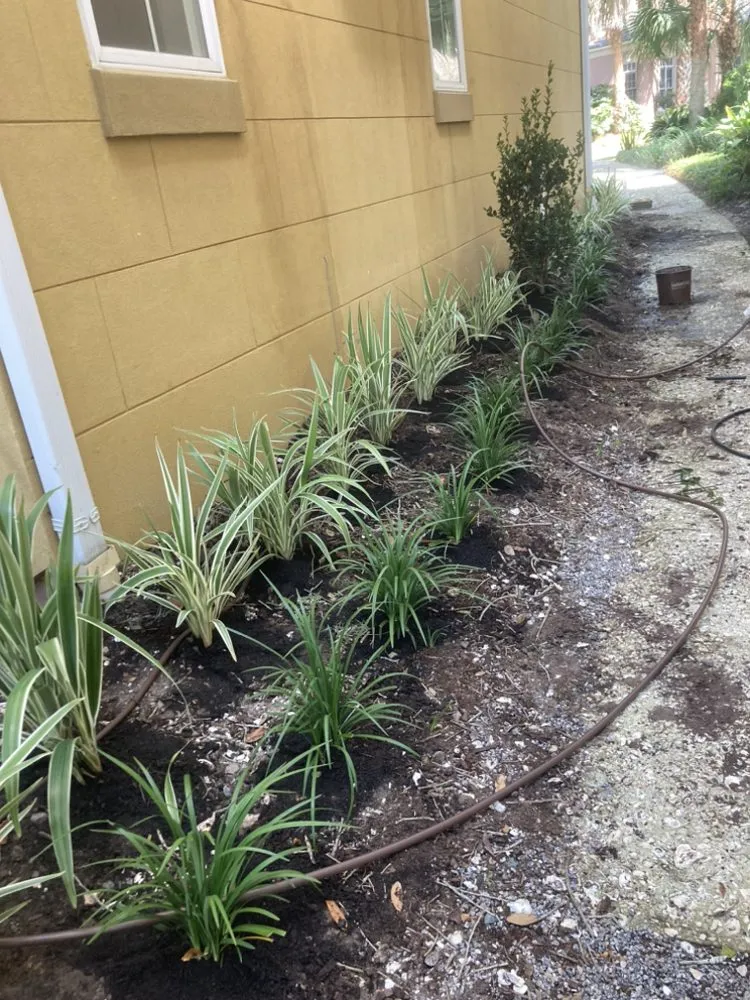 Top-rated garden landscaping experts serving Hilton Head, SC - Prestige Landscaping Maintenance