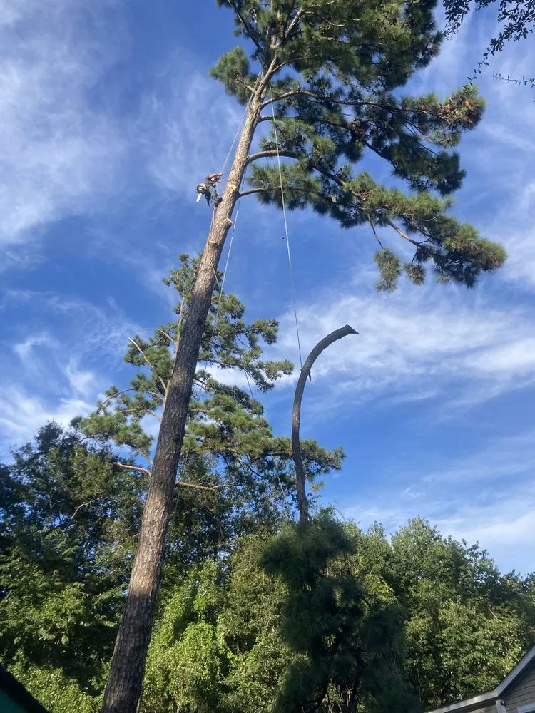 Professional lawn mowing service in Hilton Head, SC by Prestige Landscaping Maintenance