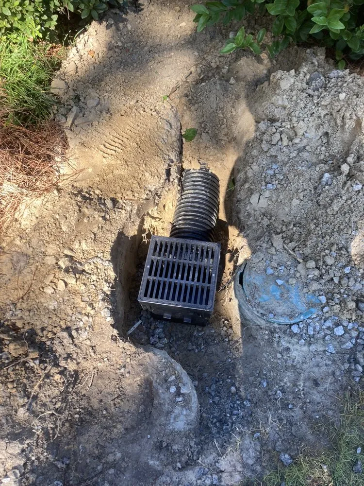 Affordable lawn care service experts serving Hilton Head, SC - Prestige Landscaping Maintenance