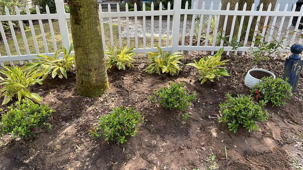 Top-rated landscape design in Hilton Head, SC - Prestige Landscaping Maintenance