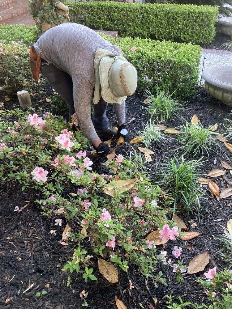 Custom landscape design near you across Hilton Head, SC - Prestige Landscaping Maintenance