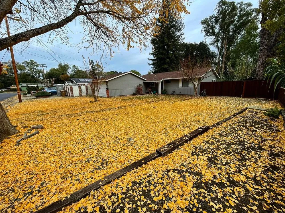 Trusted landscape design experts serving Napa, CA - Prestige Landscaping