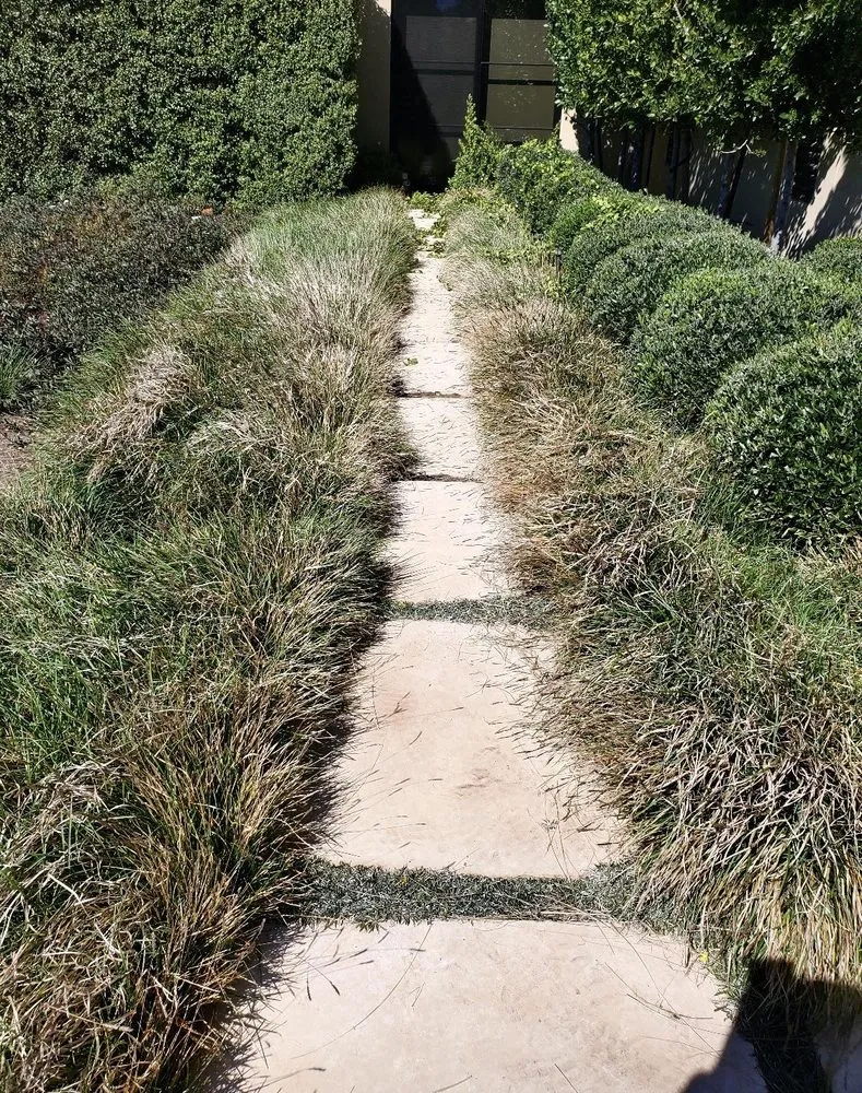 Affordable lawn mowing service near you in Napa, CA by Prestige Landscaping