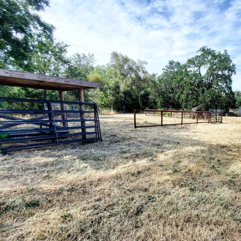 Expert lawn mowing service in Napa, CA by Prestige Landscaping