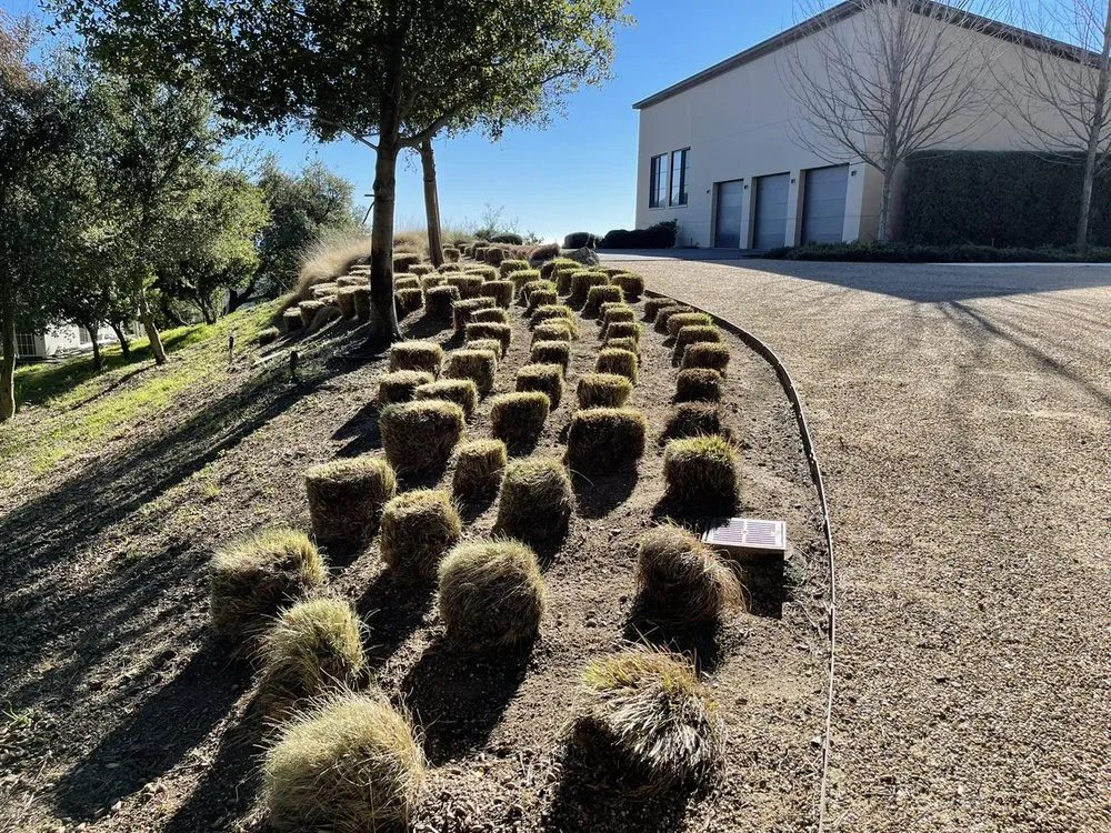 Affordable garden landscaping in Napa, CA by Prestige Landscaping