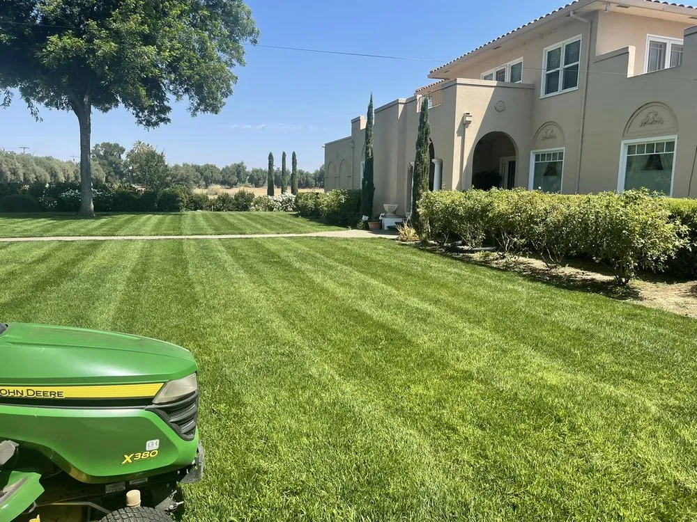 Affordable landscape installation for year-round maintenance in Napa, CA by Prestige Landscaping