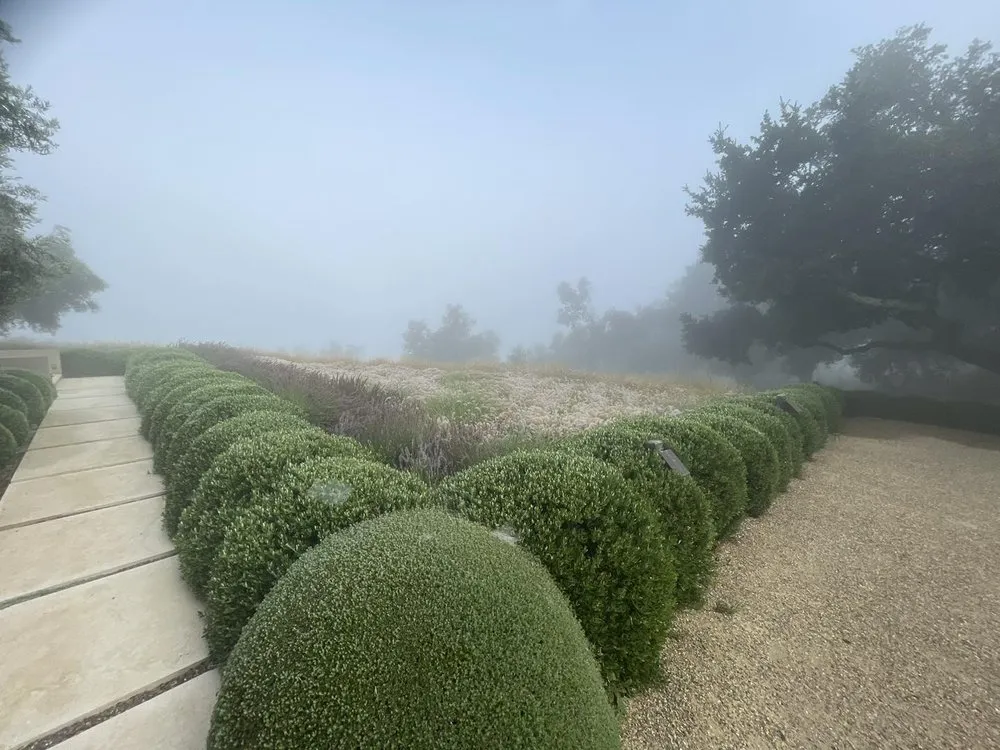 Reliable lawn care service for outdoor upgrades in Napa, CA by Prestige Landscaping