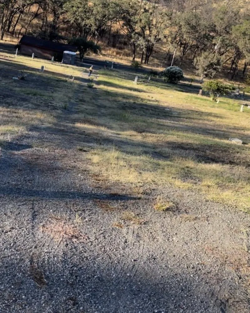 Professional garden landscaping for outdoor upgrades in Napa, CA by Prestige Landscaping