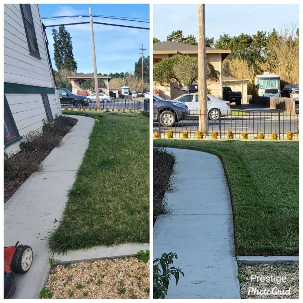 Professional yard cleanup service in Napa, CA by Prestige Landscaping