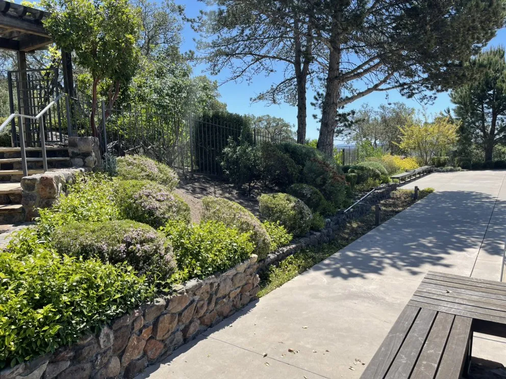 Reliable lawn mowing service in Napa, CA by Prestige Landscaping