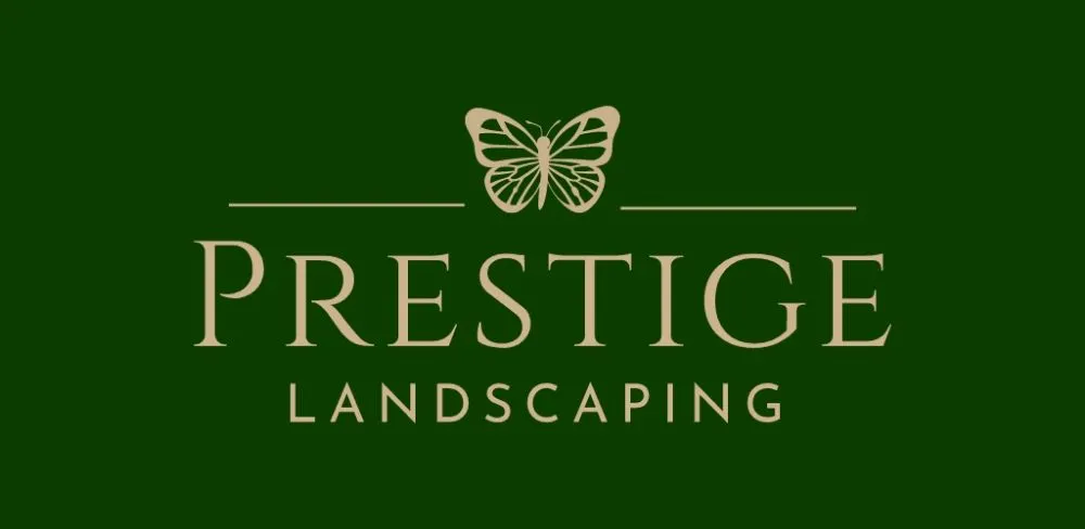 Reliable outdoor landscaping for year-round maintenance across Napa, CA - Prestige Landscaping
