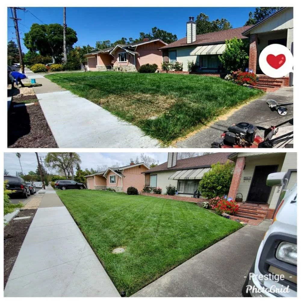 Expert residential landscaping in Napa, CA - Prestige Landscaping