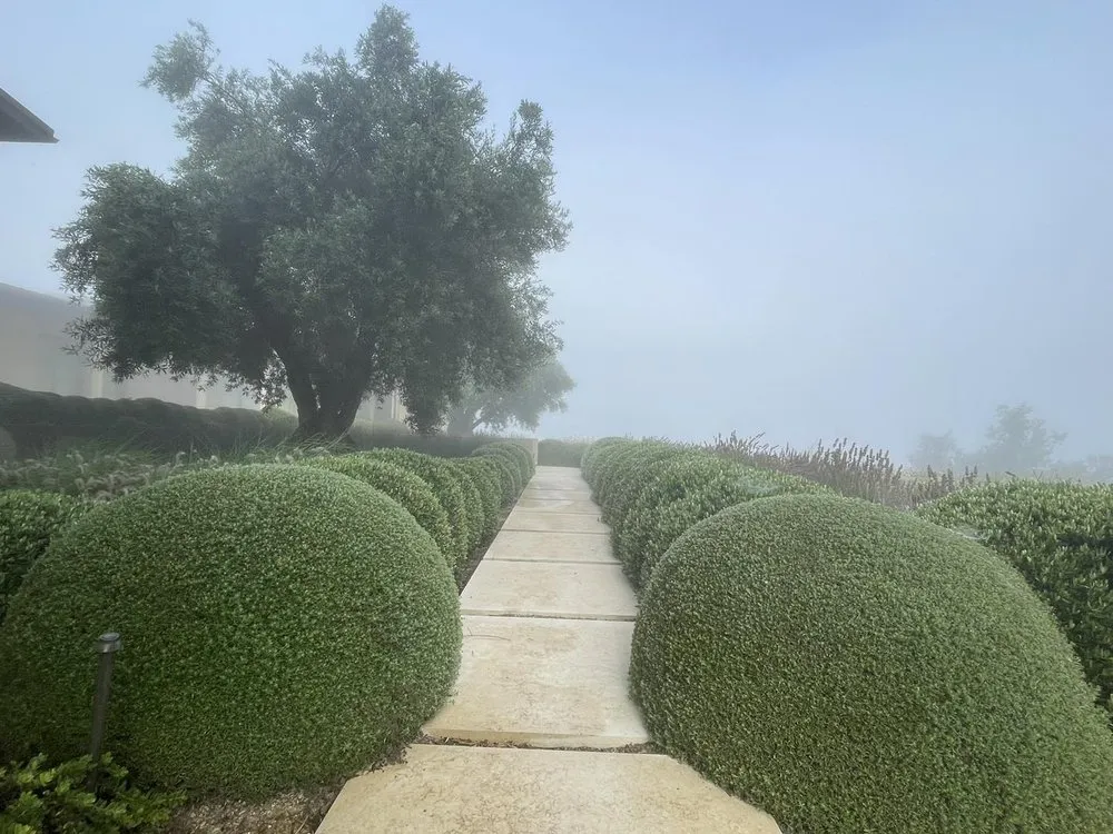 Local yard maintenance for beautiful yards in Napa, CA by Prestige Landscaping