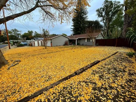 Prestige Landscaping Logo