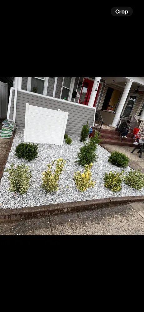 Professional yard cleanup service in New York, NY - Prestige Landscaping