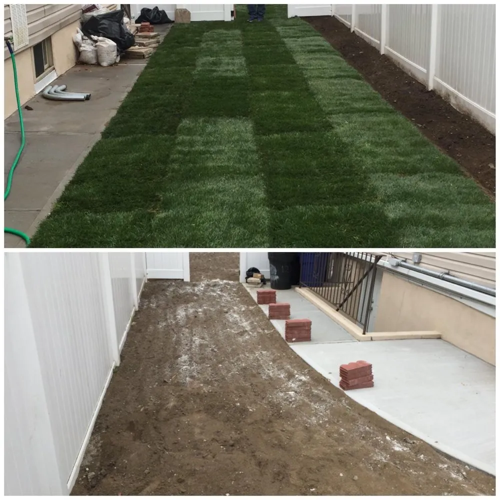 Expert lawn care service experts serving New York, NY - Prestige Landscaping