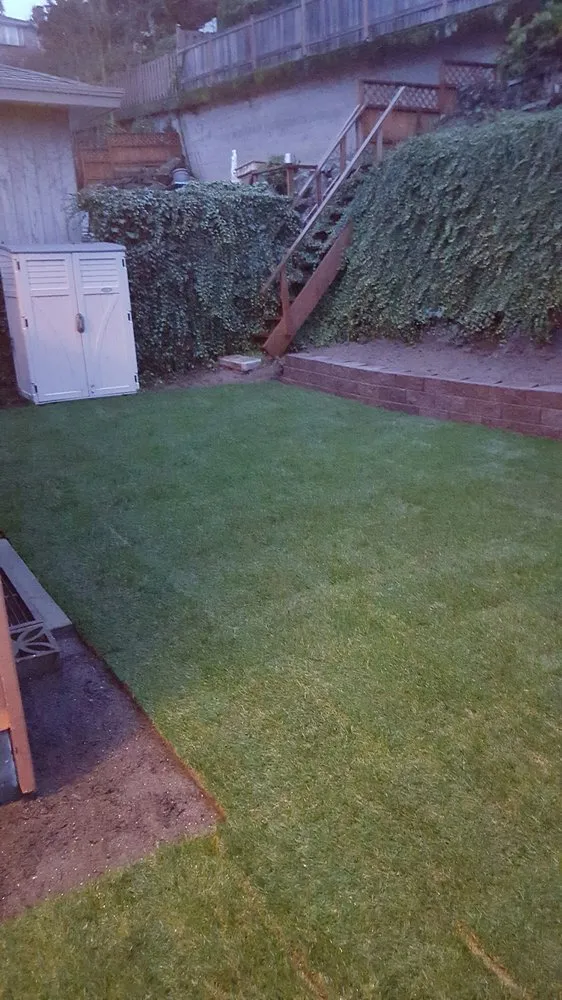 Expert outdoor landscaping with custom design across Seattle, WA - Prestige Landscaping