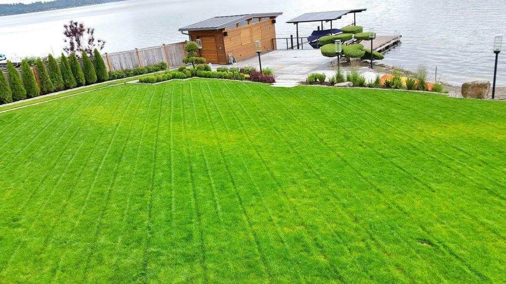 Affordable landscape installation in Seattle, WA by Prestige Landscaping