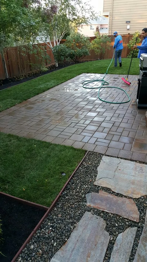 Professional lawn care service in Seattle, WA - Prestige Landscaping