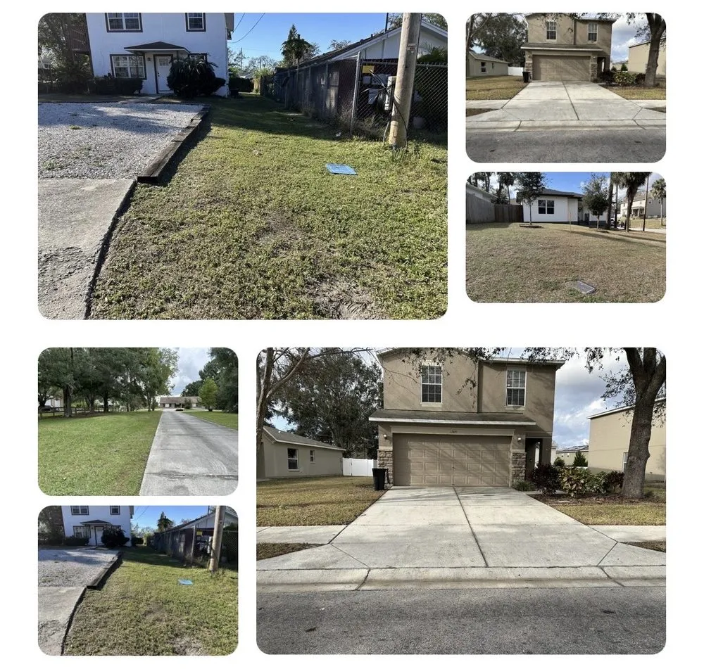 Local yard cleanup service in Town 'n' Country, FL by Prestige Landscaping