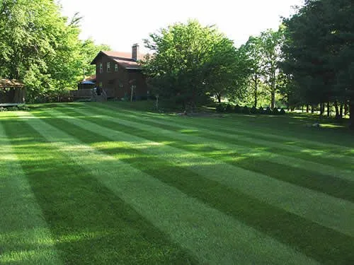 Custom outdoor landscaping for homes in Plymouth, MI by Prestige Lawn & Landscaping