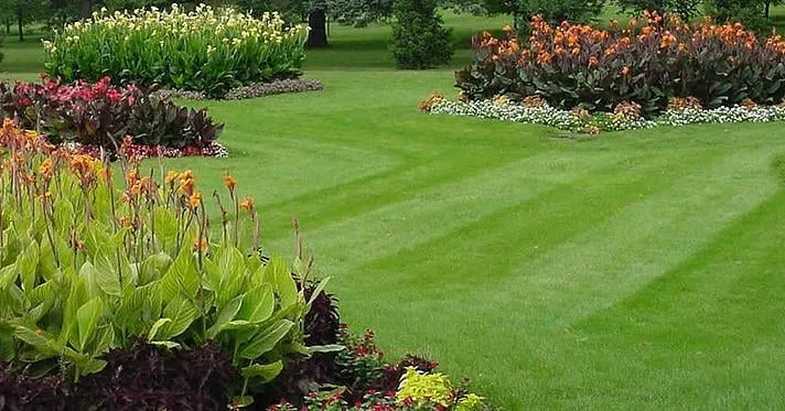 Local yard cleanup service in Plymouth, MI - Prestige Lawn & Landscaping