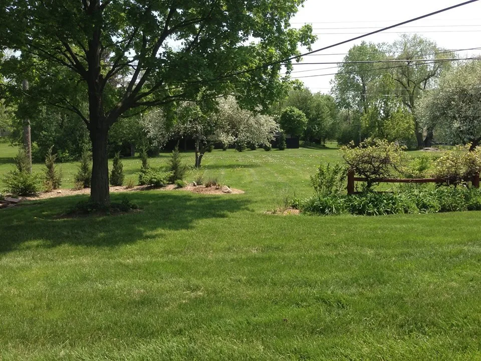 Reliable landscape design in Plymouth, MI - Prestige Lawn & Landscaping
